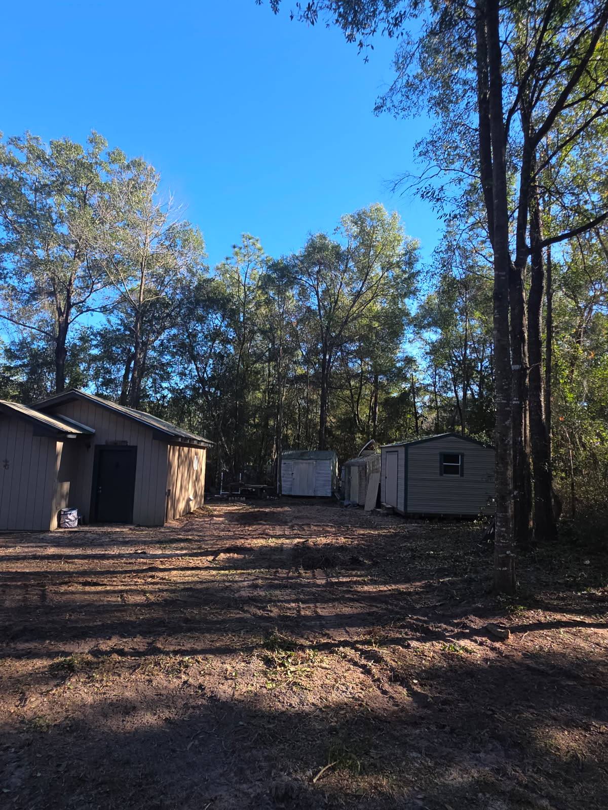 After: backyard cleared and opened up around the sheds