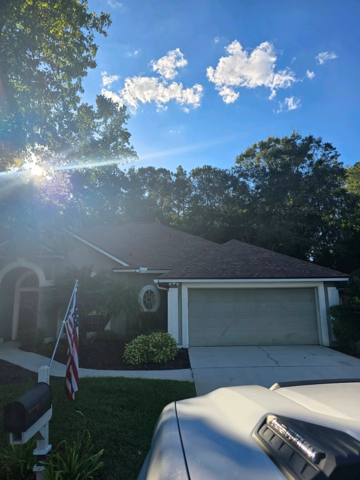 After: dead pine safely removed, clear sky above the home