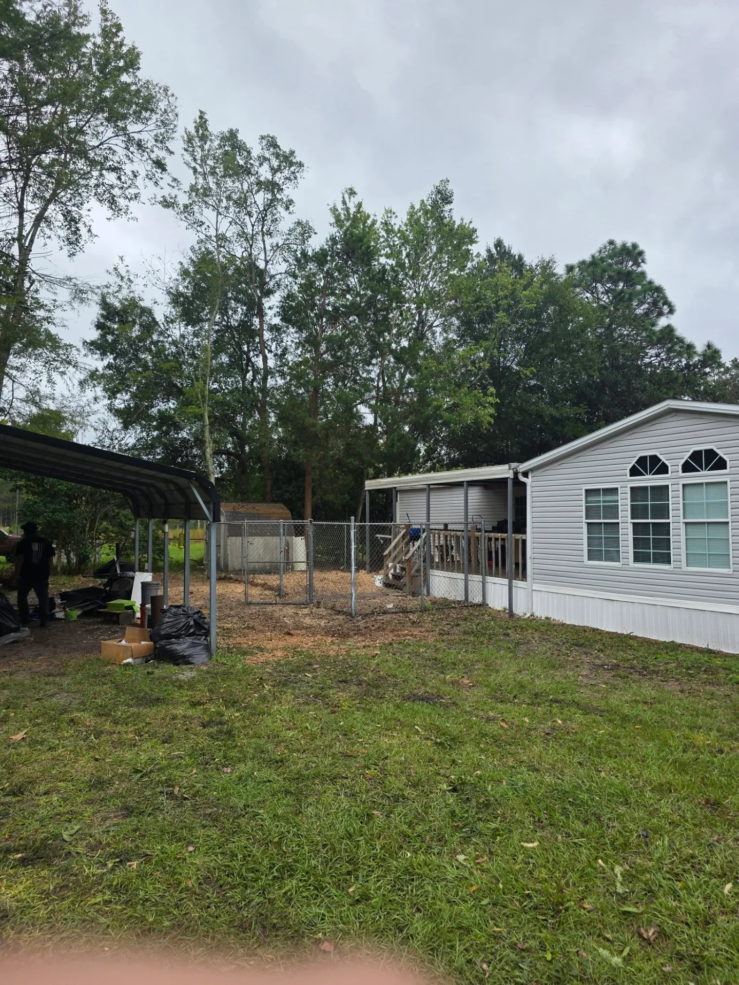 After: oak removed and yard cleaned up next to the carport