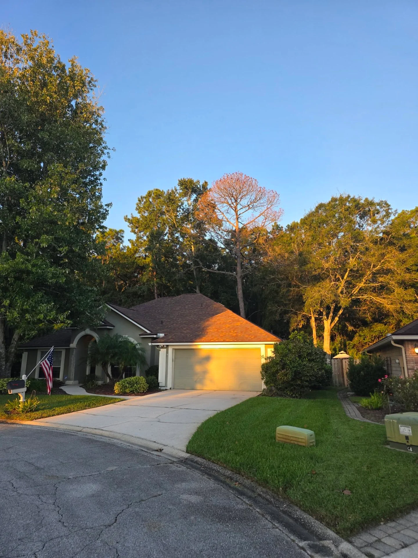Before: tall dead pine looming over a residential home
