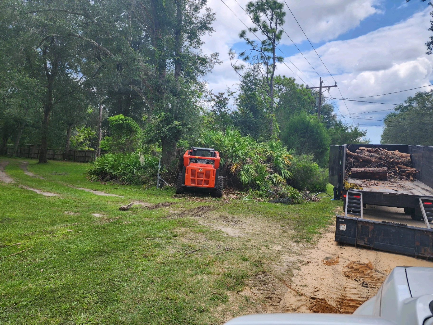 Skid steer and flatbed hauling logs during a lot cleanup