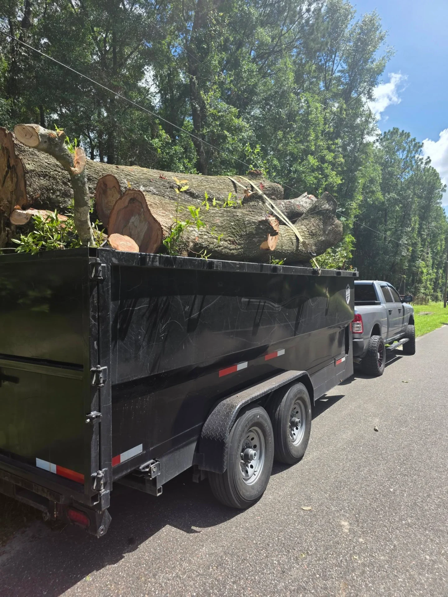 Heavy-duty trailer hauling away large oak logs after a removal