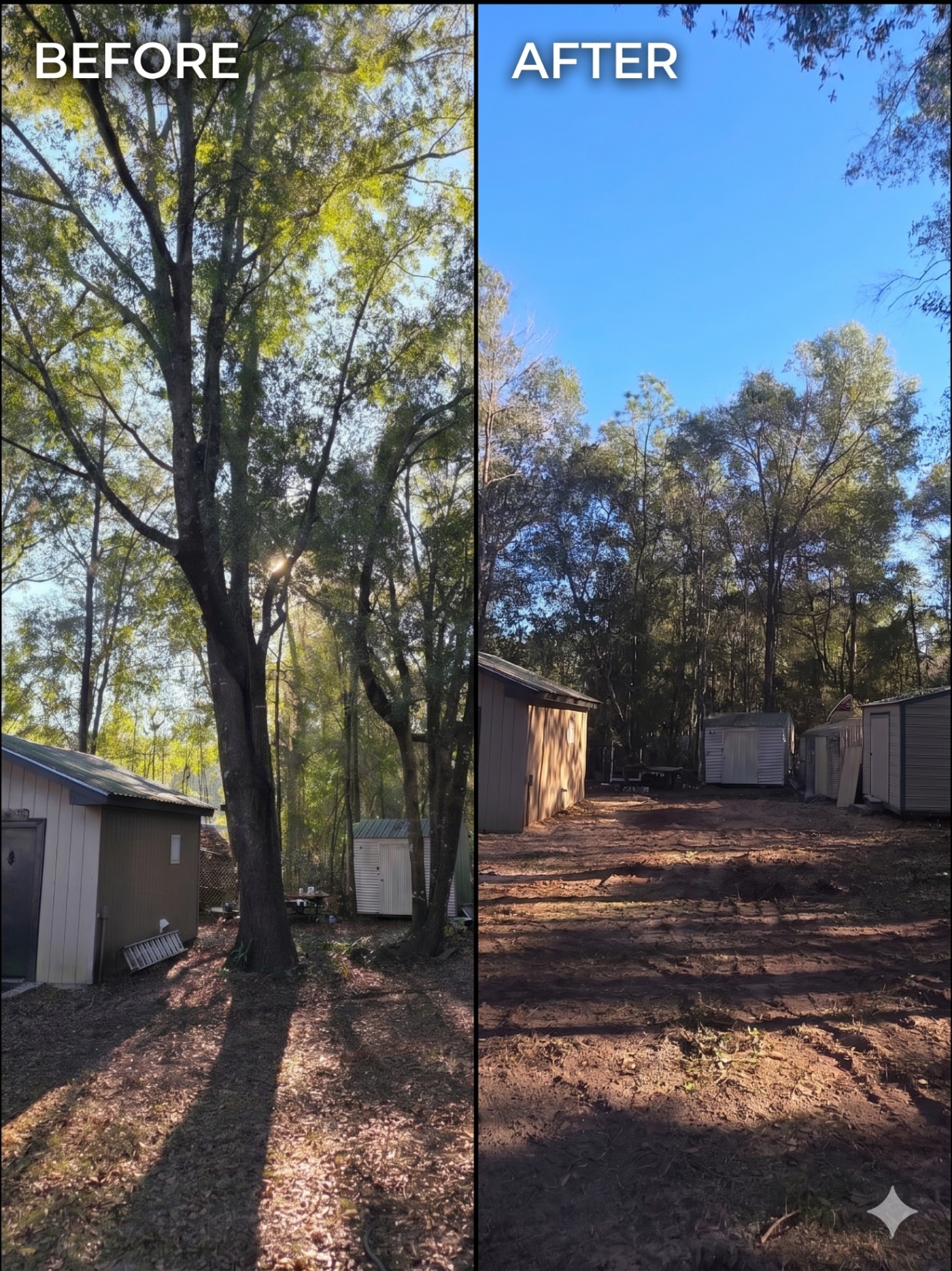 Before and after: backyard tree removal and lot clearing