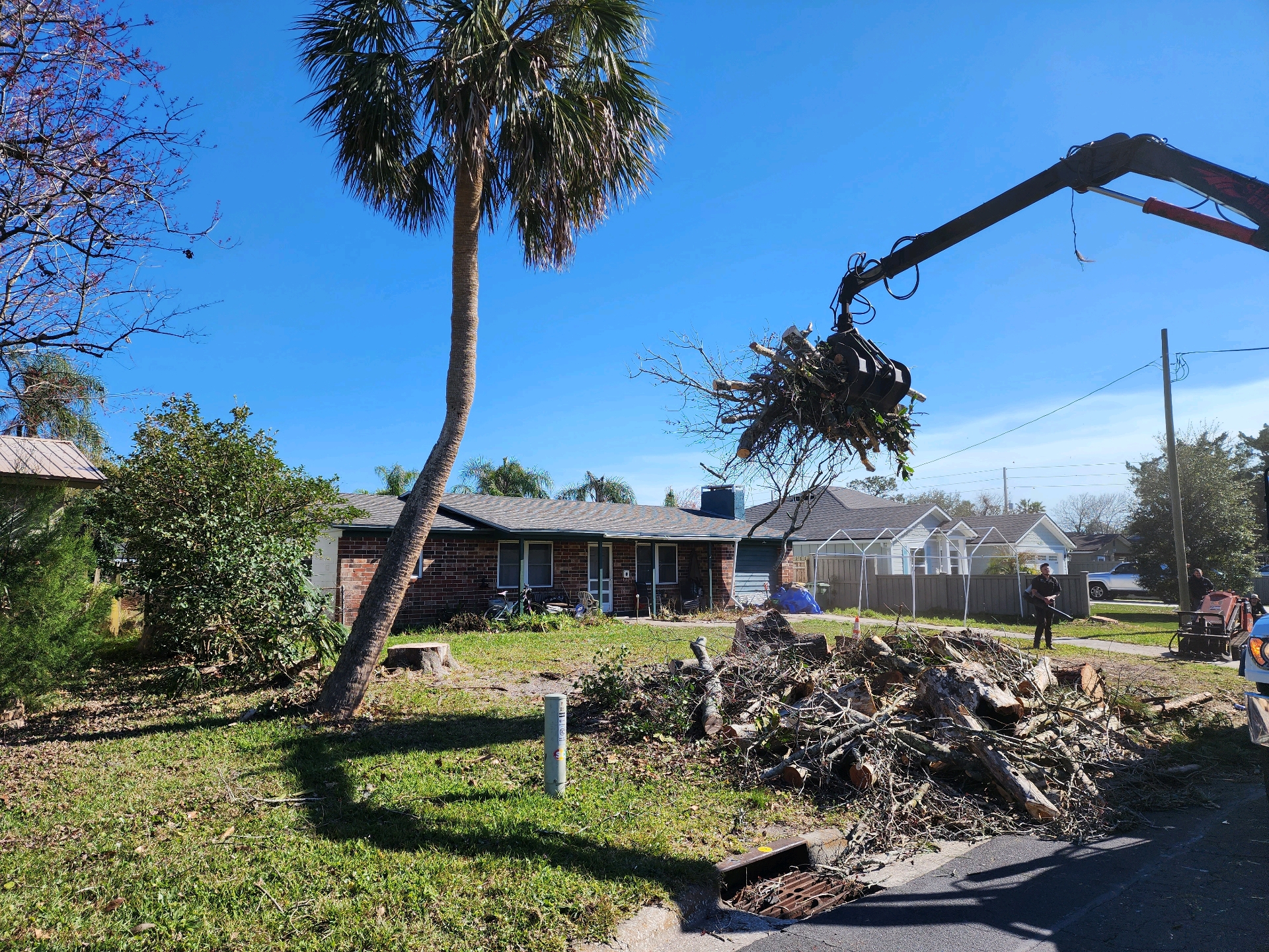 Grapple crane lifting tree debris over a residential property